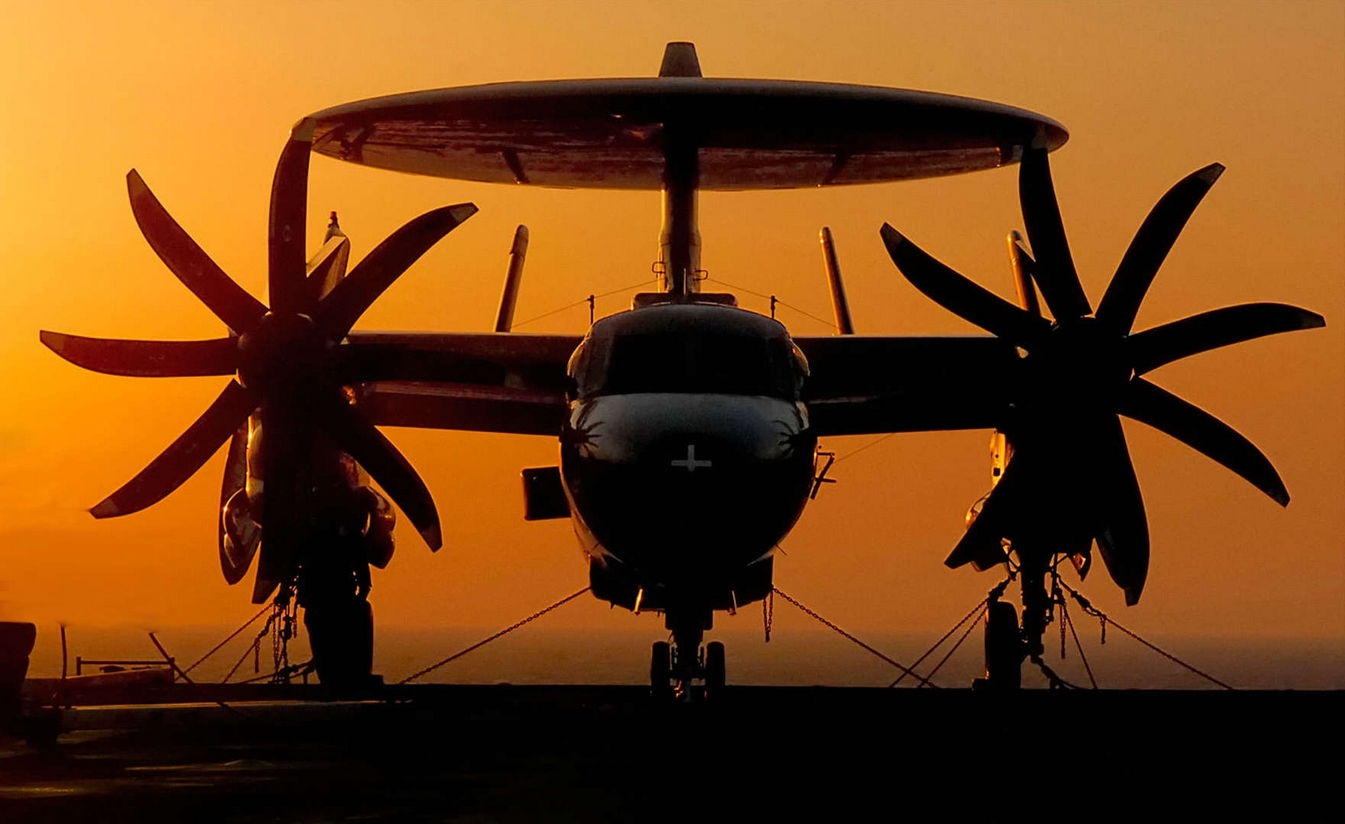 FlightSimFanatic